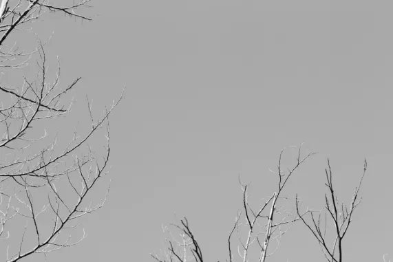 PocketWin Casino Ondersteuning